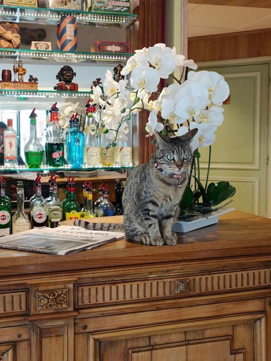 Le Relais Medicis Hotell Paris Eksteriør bilde